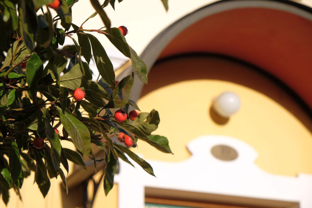 mikamoco lifestyle – Herbst 2017