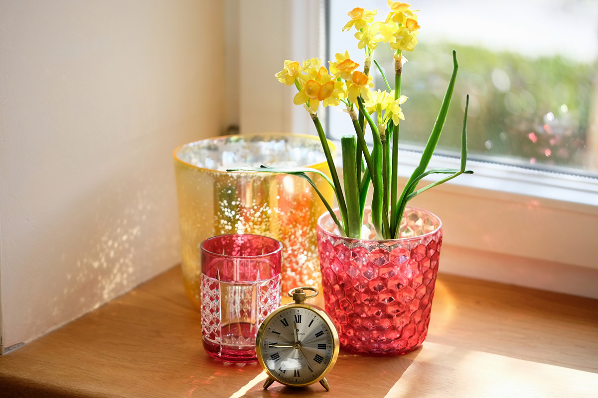 mikamoco lifestyle – Frühjahr 2018