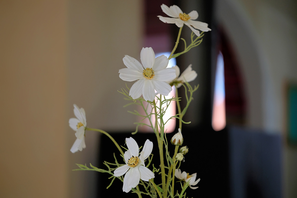 mikamoco lifestyle – Frühjahr 2018